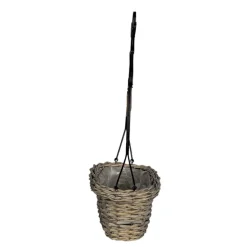 Bloemen/planten houder kip