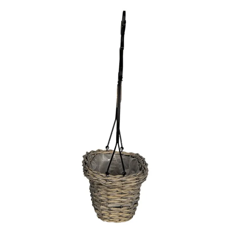 Bloemen/planten houder kip