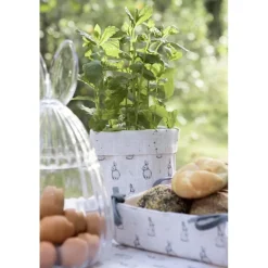 Broodmandje Bunny bunnies