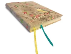 Daphne's Dairy Dagboek