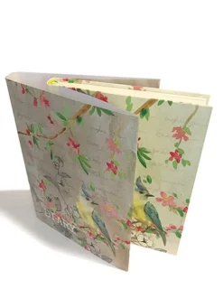 Daphne's Dairy Dagboek