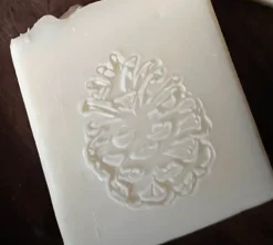 Handgemaakte Zeep Boswandeling