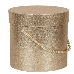 Hoedendoos set van 3 goud/glitter