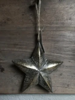 Houten ster goudkleur