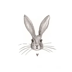 Papieren servetten wit (20) konijn