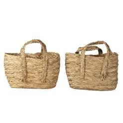 Set van 2 manden met hengsels ovaal