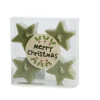Set van 5 ster waxinelichtjes groen