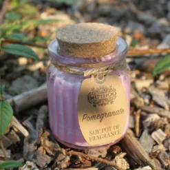 Sojakaars in glazen pot Granaatappel