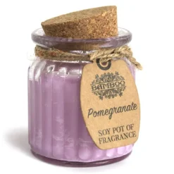 Sojakaars in glazen pot Granaatappel