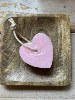 Zeephanger Hart Roos